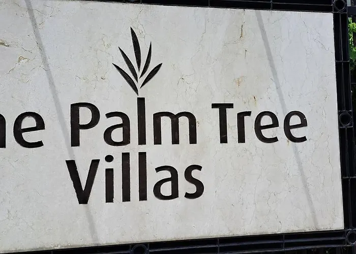 Cozy Near Naia T3 @ Palm Tree Apartment *